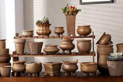 給大家聊一聊花盆如何選擇